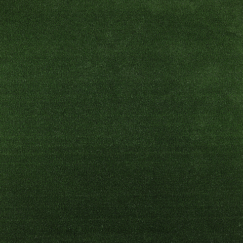 Российская зеленая ковровая дорожка grass 04_014